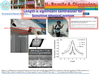 Physics of nanofiber knowledge: CNT