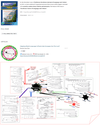 Origin of Language of the World