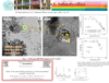 Nonlinear optical & magnetic interplay