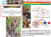 Physics of super herbal medicine: Galoba spp.